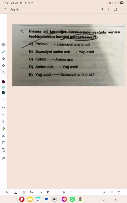 Yeni Çıktı‼️