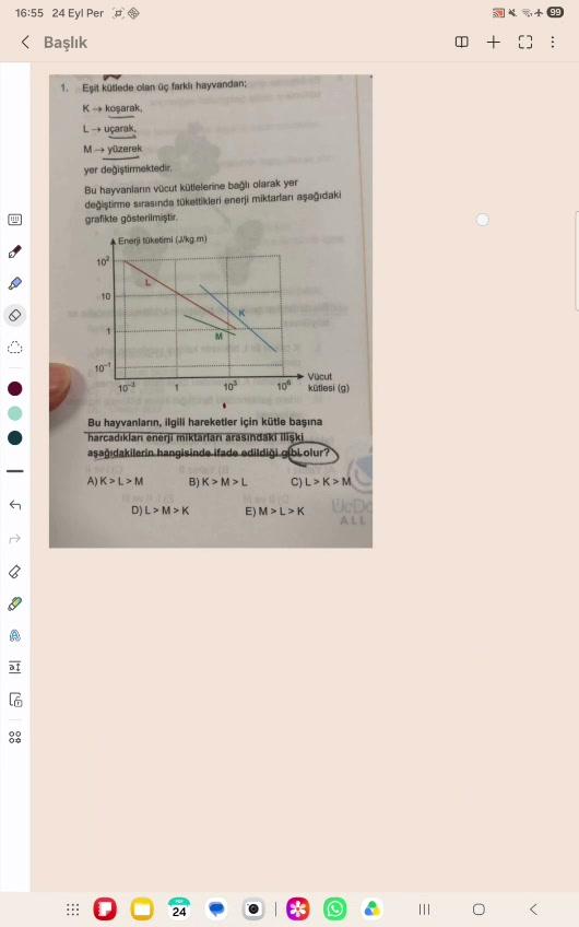 Biyoloji'de Grafikler Korkulu Rüyanız Mı ❓️