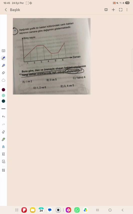 Korkunç bir GRAFİK SORUSU💥