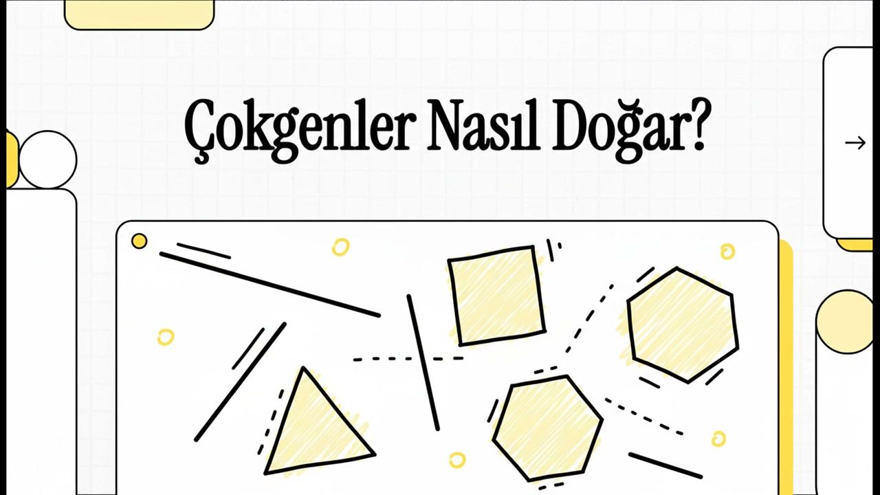 çokgenler