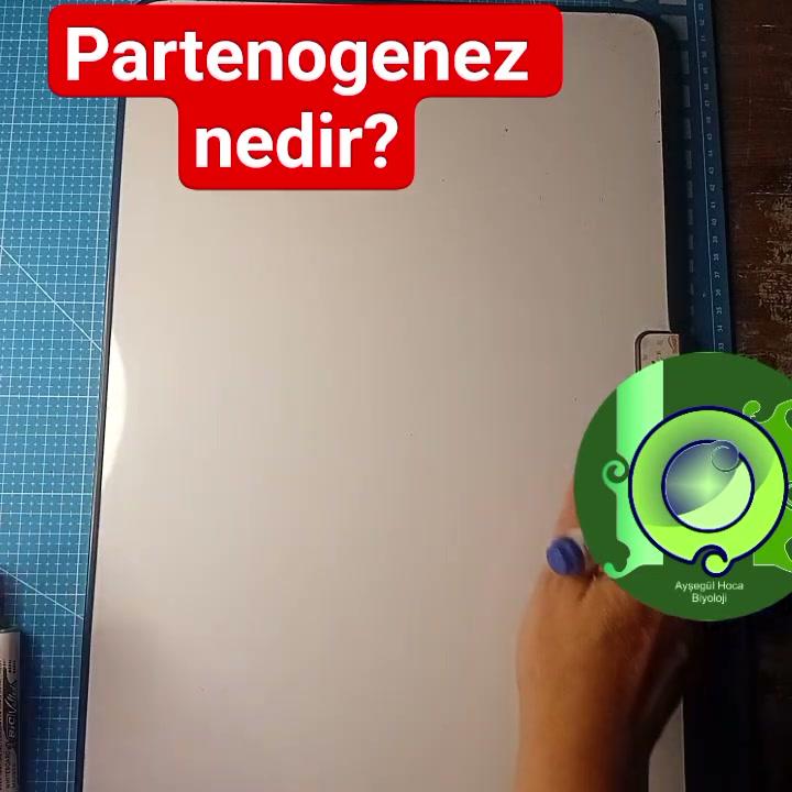 Partenogenez  nedir? tyt konusu 