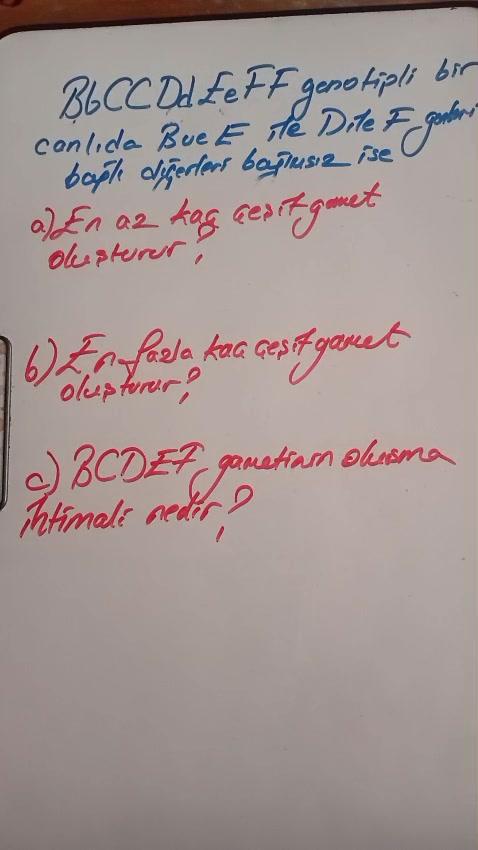 Bağlı genlerde gamet çeşidi bulma