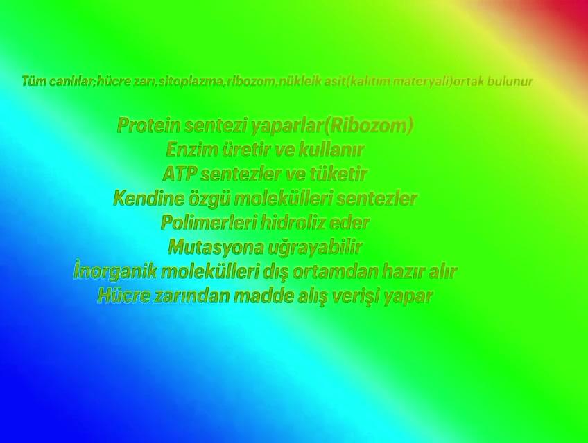 Canlılarda Görülen Ortak Reaksiyonlar