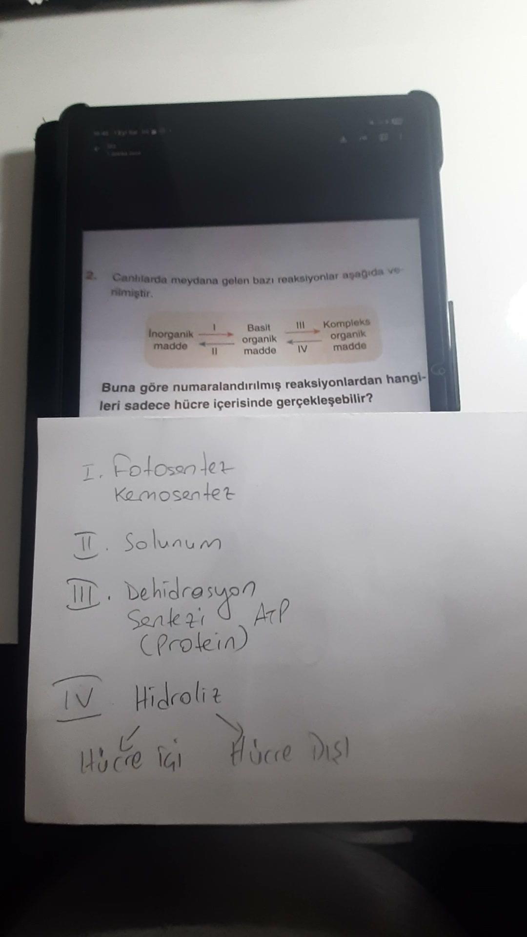 mtzbiyoloji anlatırsa öğrenirsin 