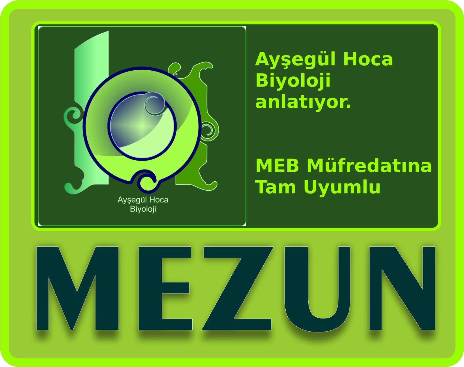 "Kalbin çalışma hızını etkileyen etmenler" biliyor musun?