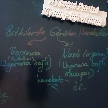 Bitkiler de hareket ediyor!