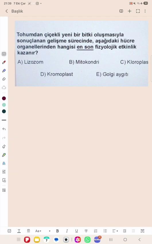 Sonbaharda yaşanan Organel Geçişleri