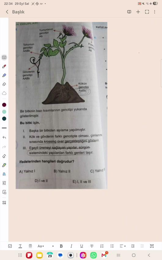 Herkese Günaydın 🫀