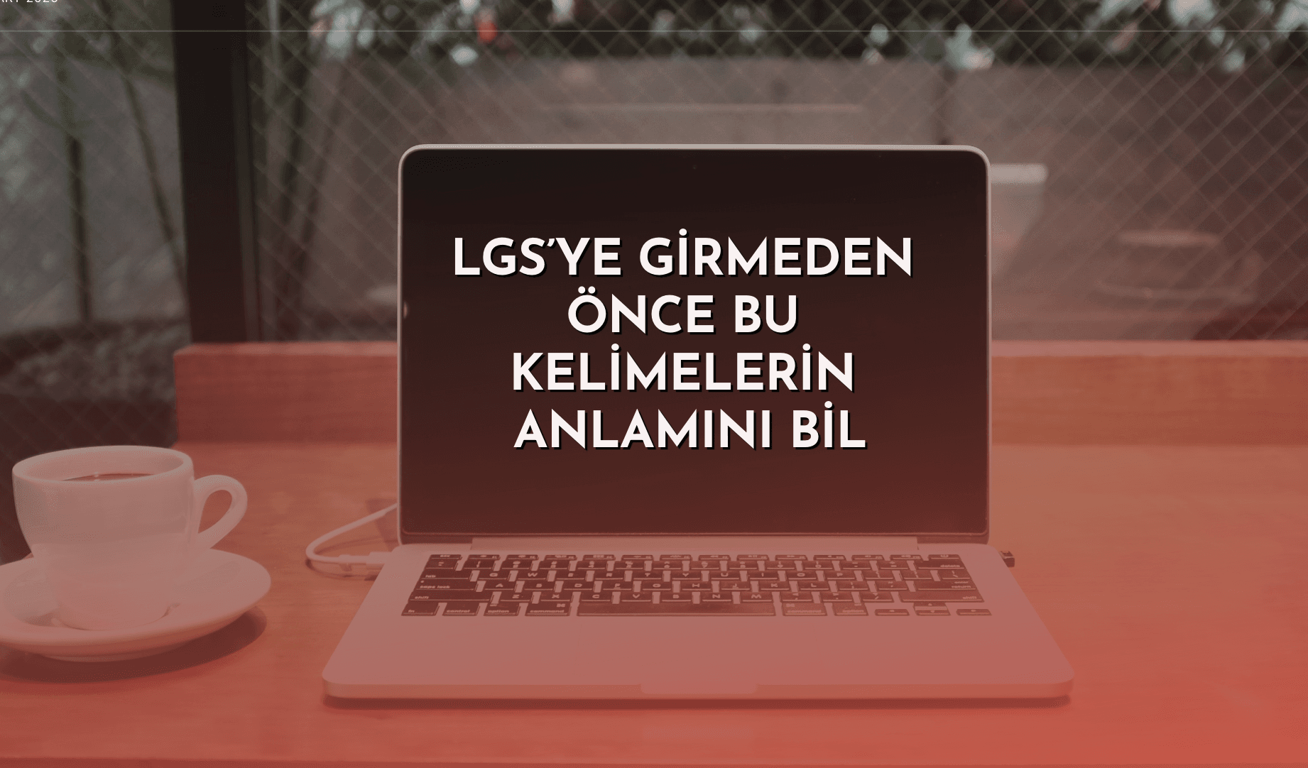 Ekran Resmi 2026-01-12 09.55.37