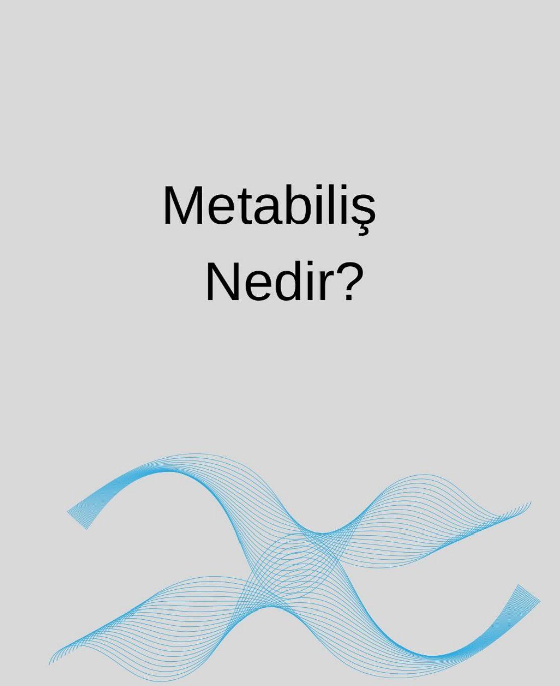 WhatsApp Image 2026-02-02 at 15.16.07