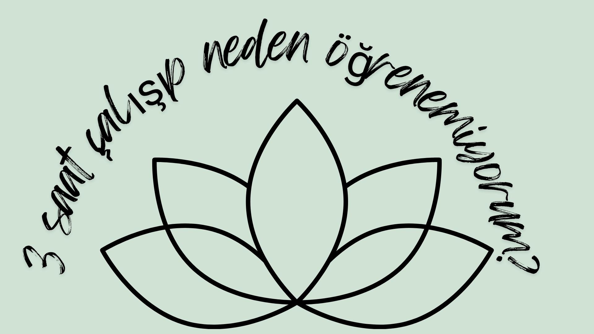Brand Guidelines kopyası_20260429_152616_0000