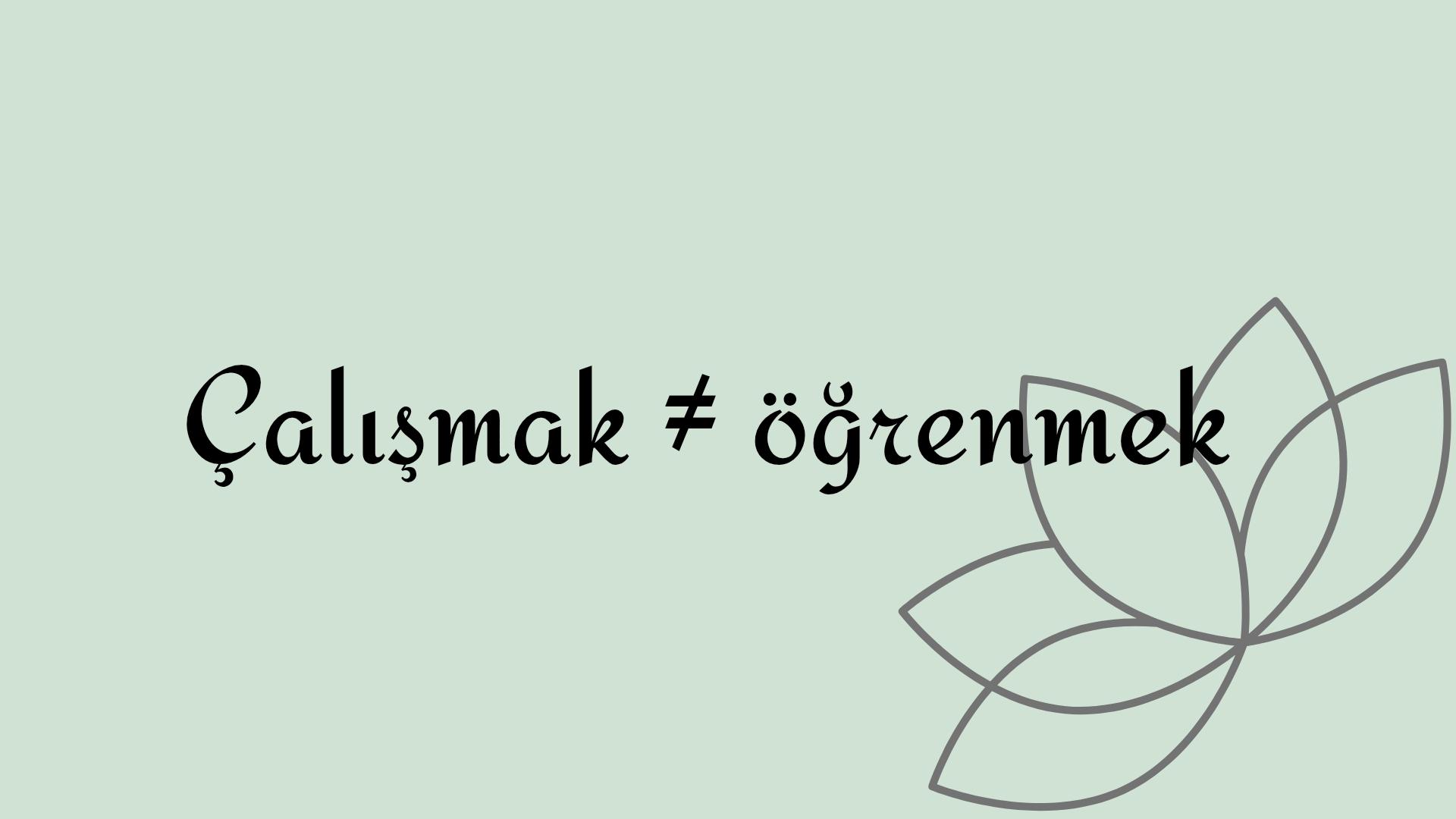 Brand Guidelines kopyası_20260429_152616_0002