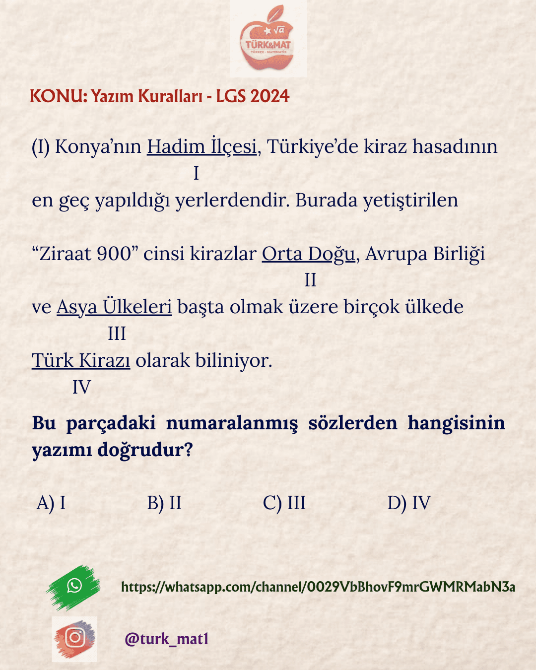 Orta Doğu - LGS 2024